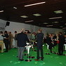 stand de Orenes