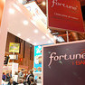 Stand de Tecnausa, Fer-Interazar 2012